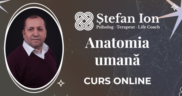 Ştefan Ion - Curs - Anatomia umană