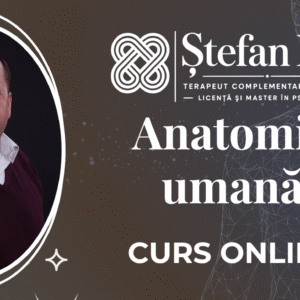 Anatomia umană