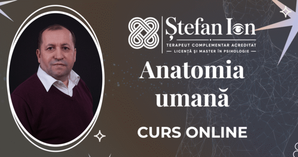 Anatomia umană