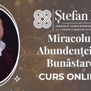 Ştefan Ion v2 - Curs - Miracolul Abundenţei în Bunăstare