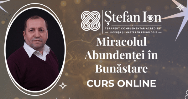 Ştefan Ion v2 - Curs - Miracolul Abundenţei în Bunăstare